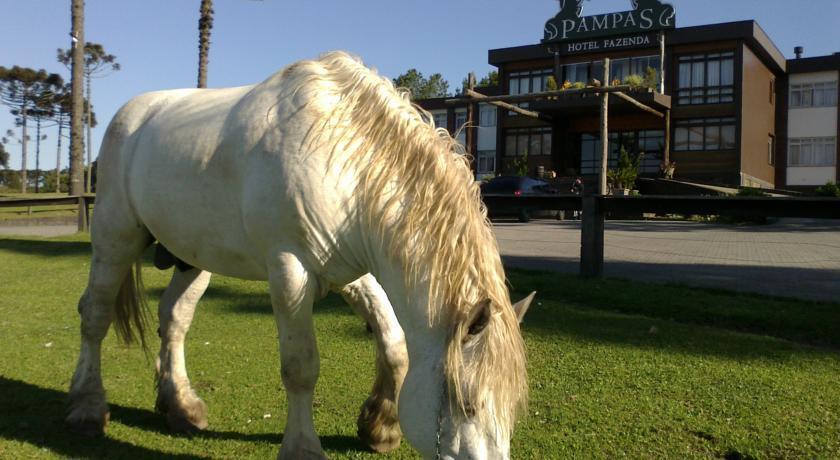 Hotel Fazenda Pampas Canela Eksteriør billede